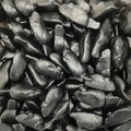Souris goût réglisse